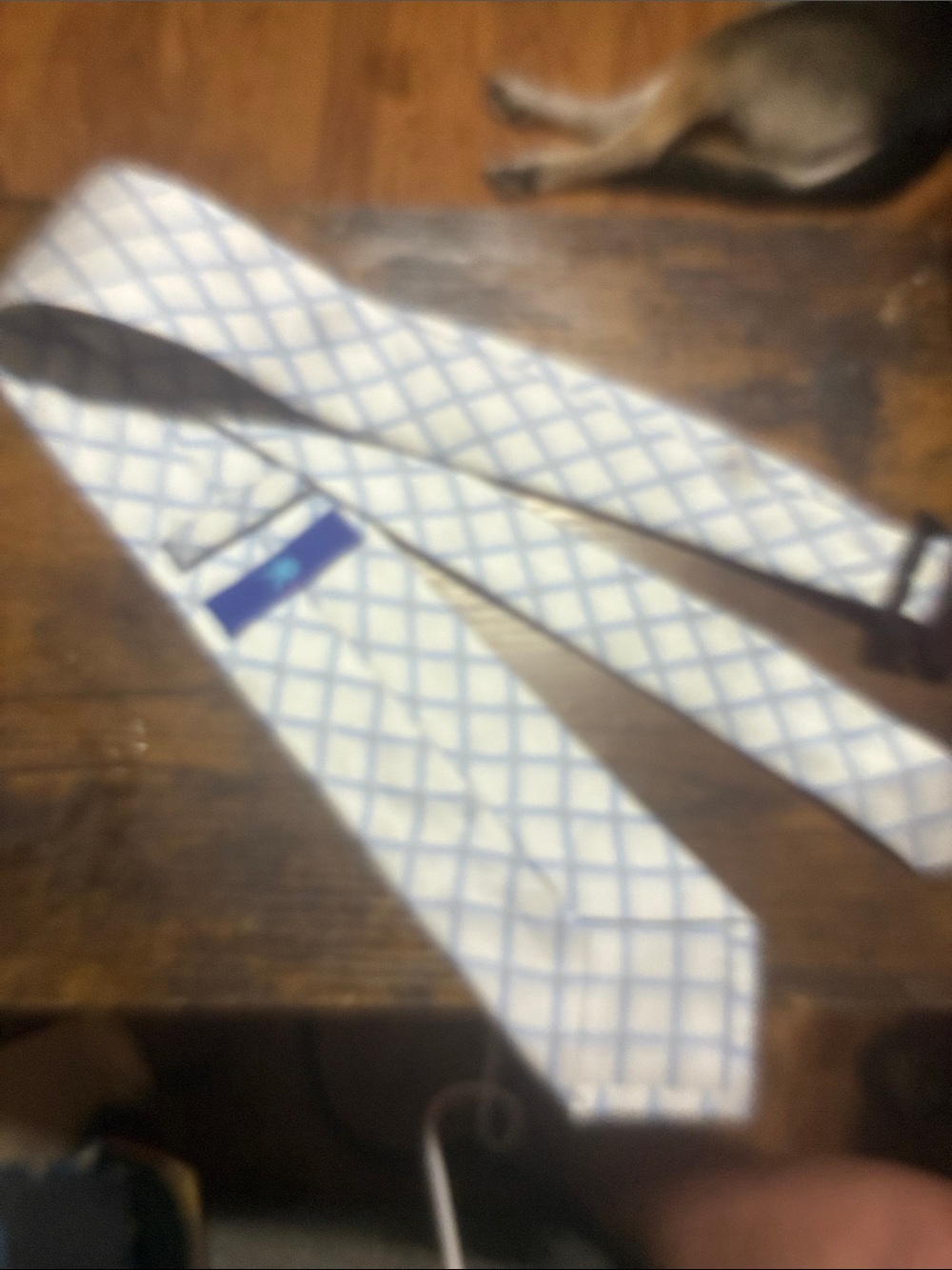 Egara White Tie with Light Blue Check Pattern